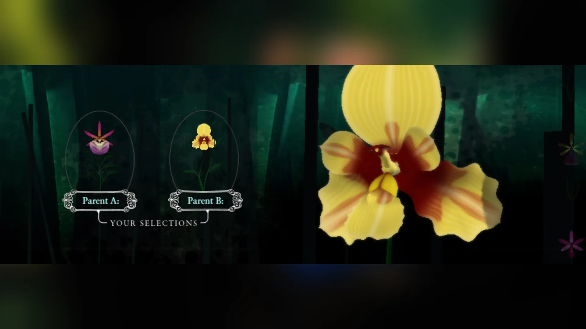 Final flower