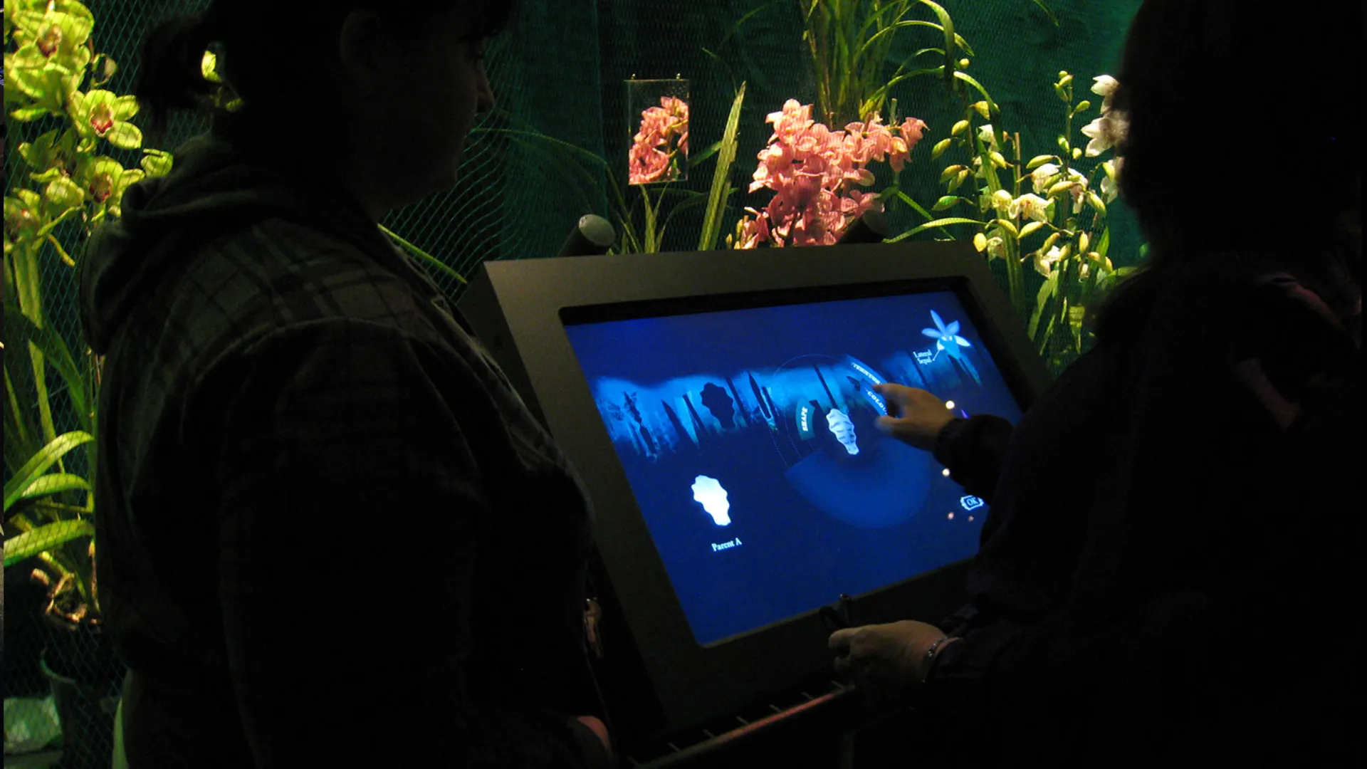 Installation at Auckland Museum